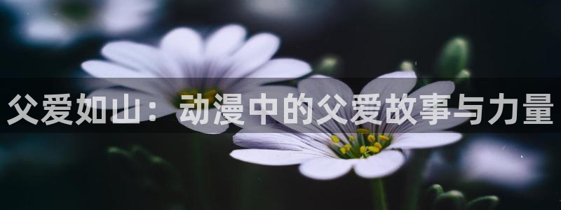 阿新动漫：父爱如山：动漫中的父爱故事与力量