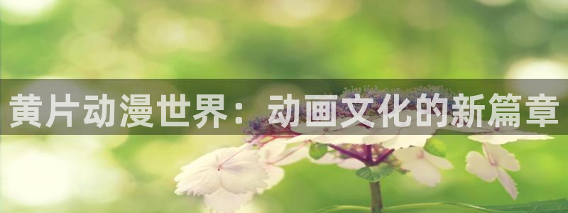 omo fun动漫官网：黄片动漫世界：动画文化的新篇章