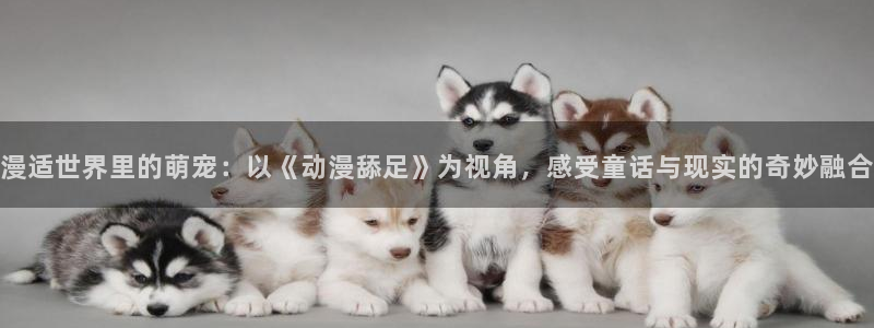 omofun动漫免费观看：漫适世界里的萌宠：以《动漫舔足》为视角，感受童话与现实的奇妙融合