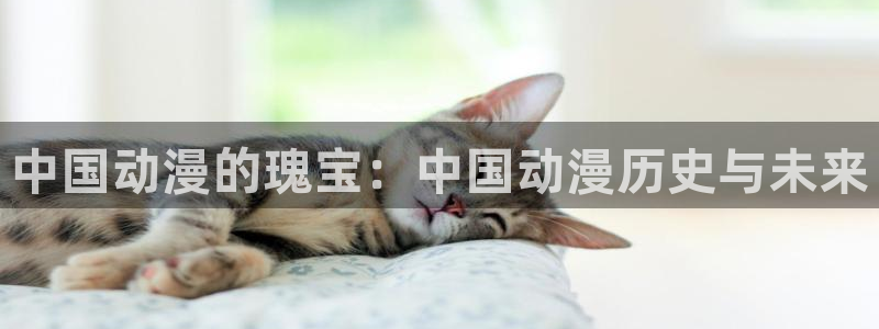 动漫软件omofun：中国动漫的瑰宝：中国动漫历史与未来